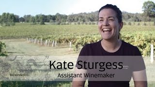 BROKENWOOD WINES Kate Sturgess Assistant Winemaker [upl. by Bauske]