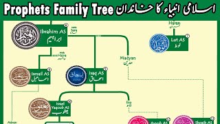 Islamic Prophets Family Tree  Adam to Muhammad SAW ​ [upl. by Eveivenej]