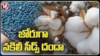 Fake Cotton Seeds Business In Gadwal Ghattu And Maldakal Towns  Mahabubnagar District  V6 News [upl. by Reseta942]