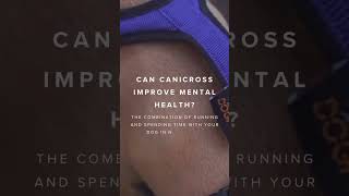 Canicross has been gamechanging for many who have tried the sport Has it helped you ⬇️ canicross [upl. by Krause836]