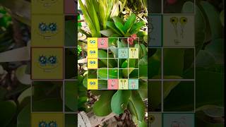 Can you connect this square Puzzle game [upl. by Nolahp]