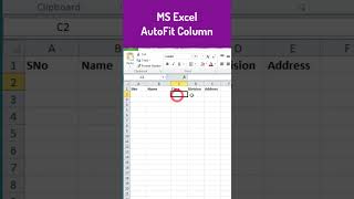 MS Excel AutoFit Column excel [upl. by Filmer]