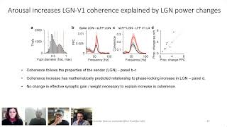 Marius Schneider  A mechanism for interareal coherence through communication based on connect [upl. by Kennard]