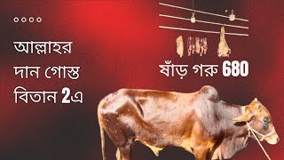 আল্লাহর দান গোস্ত বিতানে ষাঁড় গরুর মাংস 680 beef price  meat priceগরুগরুরবাজারগাবতলীগরুরহাট [upl. by Laurent]