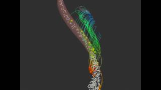 Particles trapped in vortex tube [upl. by Sokim]