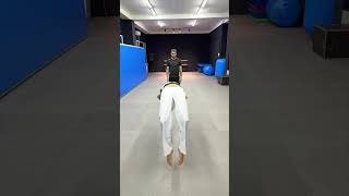 TAEKWONDO  TRICKING  TRICKS [upl. by Akehsar]