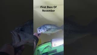 Cold Water Bass Fishing bassfishing fishing bassfishingismylife largemouthbass [upl. by Crysta]