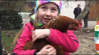 Ausflugstag am Bauernhof für Schülerinnen  quotSchule am Bauernhofquot [upl. by Romeyn]