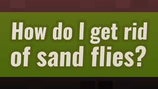 How do I get rid of sand flies [upl. by Pfaff167]