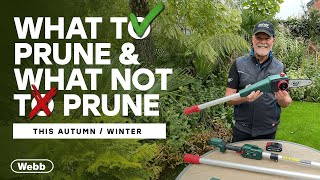 The Ultimate AutumnWinter Pruning Guide  Gardening Advice from Adam Woolcott [upl. by Tiertza306]