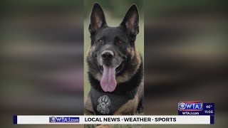 Cambria community mourns loss of K9 officer [upl. by Chapin]