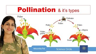 Self amp Cross Pollination  Sexual Reproduction in Plants II Agents of Pollination II [upl. by Aenneea]