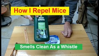 How I Repel Mice  Bright Air Irish Spring  Smells Clean As A Whistle [upl. by Conners]