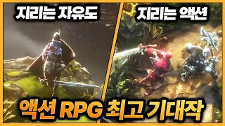 한글화 확정 애타게 기다렸던 액션 RPG 기대작 드디어 출시  노 레스트 포 더 위키드 모든 정보 [upl. by Malonis]