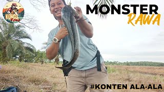 TRIP CASTING MONSTER RAWA BERAKHIR MEMBAGONGKAN [upl. by Alletnahs]