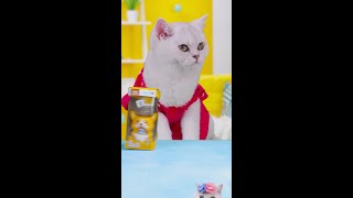 NIEDLICHKEITSÜBERLASTUNG FREUND KATZE PACKT MINIMILCHSPENDER AUS 😻🥛 [upl. by Edora855]