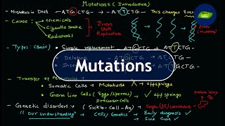 Mutations  Introduction  Biochemistry  Cell biology  Basic Science Series [upl. by Hanad510]