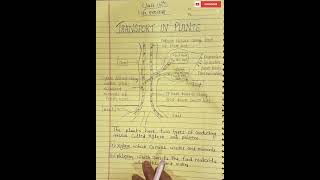 Transportation in plants Class10th biology chapter1 Life process subscribe comment crehuman [upl. by Salhcin]