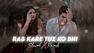 Rab kare Tuzko Bhi pyar ho jaye Hind classic LoFi song broken heart 💔 [upl. by Kinch]