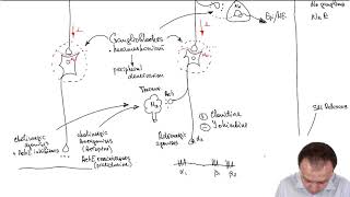 Adrenergic Drugs Medications Acting on Preganglionic amp Postganglionic Fibers of the ANS Part 16 [upl. by Weld616]