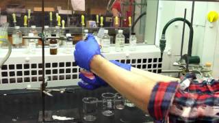 Extraction Procedure for Organic Chemistry Lab [upl. by Anileda]