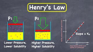 Henrys Law  Partial pressure gas solubility and mole fraction [upl. by Renita810]