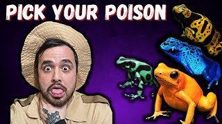 Best Beginner Poison Dart Frogs [upl. by Yung669]