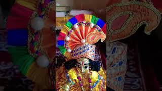 laddu Gopal satarupa story short video [upl. by Inat54]