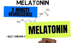 2Minute Neuroscience Melatonin [upl. by Erlene177]