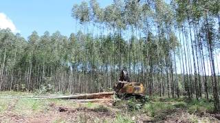 Feller Buncher 870C  Corte Área Expoforest 2018 [upl. by Spragens65]