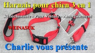 Harnais pour chien 3 en 1  Laisse réfléchissante  Harnais pour Voiture et amortissement WEINASUK [upl. by Afatsuom979]