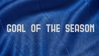 Goal of the Season  Birmingham City [upl. by Carpet224]