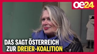 Das sagt Österreich zur DreierKoalition [upl. by Nylsirk]