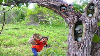 Man picking wildflowers sees parrot at tree stumpbaby cute parrot love beautiful [upl. by Raquel]