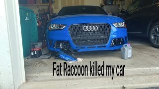 B85 S4 front end tear down  FAT RACCOON RUINED MY CAR [upl. by Katheryn125]