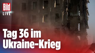 🔴 UKRAINEKRIEG Alle aktuellen News – 31032022  BILD Live [upl. by Yracaz]