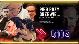 DIOZ I quotPRZYWIĄZANA DO DRZEWAquot DIOZ LITEWKA PROKURATOR [upl. by Demitria]