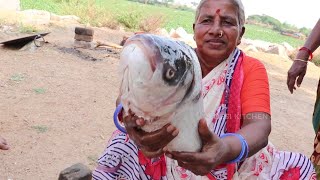 Fish Fry  How To Cook Traditional Fish Fry  Desi Kitchen [upl. by Tillo]