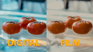 Digital Look vs Film Look Dehancer Pro [upl. by Pietrek487]