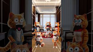 The orange cat family is screaming and startled cutecat catlover catvideos [upl. by Cameron]