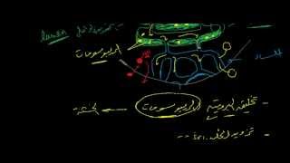 الشبكة الاندوبلازمية  Endoplasmic reticulum [upl. by Namsaj]