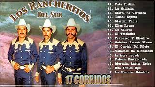 17 Corridos De Los Rancheritos Del Sur  Puros Corridos Norteños Viejitos Mix [upl. by Assyral617]