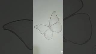 Butterfly 🦋✨ Sketch 💓short butterfly viralsong [upl. by Ogu742]