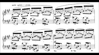 Chopin 24 Preludes Op28 Blechacz [upl. by Losiram]