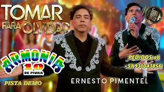 Tomar para olvidar  Ernesto Pimentel ft Armonía 10  pista musical [upl. by Bentlee]