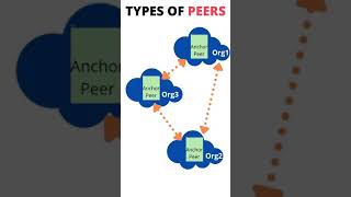 Hyperledger Fabric  Types of Peers [upl. by Nahshunn652]