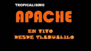 TROPICALISIMO APACHE EN TLAHUALILO [upl. by Bowden433]