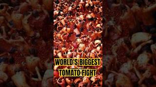 La Tomatina Spain’s Epic Tomato Fight Festival [upl. by Jdavie]