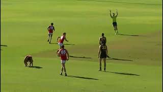 2019 SANFL RESERVES ROUND 9 GLENELG v NORTH HD [upl. by Knut57]