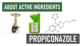 What is Propiconazole How to Use Propiconazole Fungicides [upl. by Spitzer]